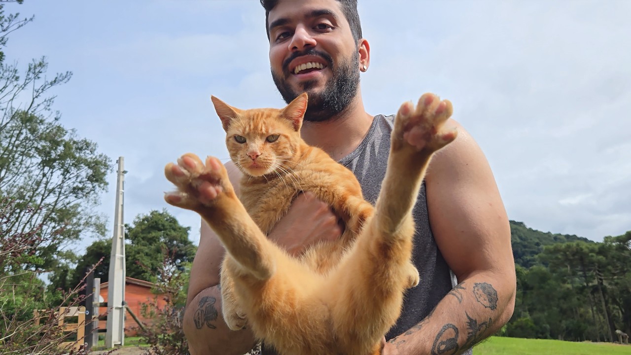 ESSE GATO INVADIU NOSSA CASA!