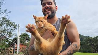 ESSE GATO INVADIU NOSSA CASA!