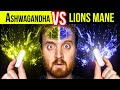 Ashwagandha VS Lions Mane The Ultimate Comparison