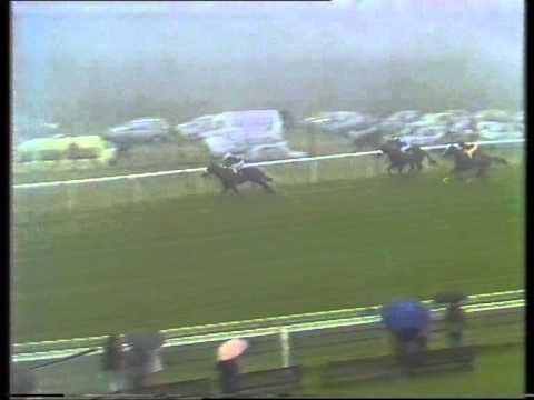 1987 Reflex Stakes