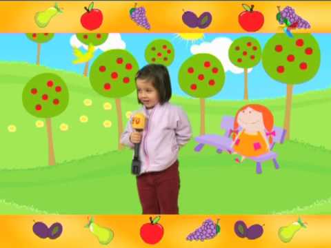 BROJALICA - Kruška, jabuka, grožđe