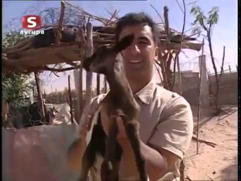 Ayna Programı - Moritanya