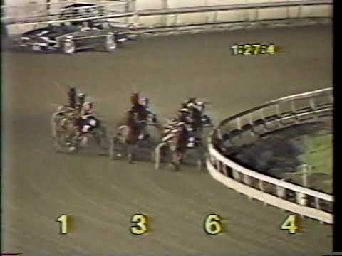 1987 Meadowlands - Whatas Brother & Ted Wing