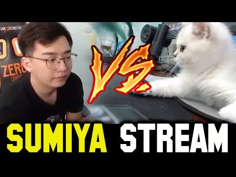 SUMIYA vs CAT | Sumiya Invoker Stream Moment #1055
