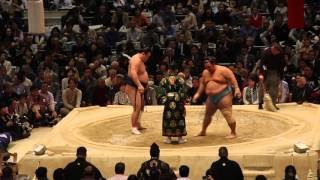 Torneo de Sumo en Osaka 2016 - Combate "Matayuki"