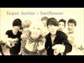 Super Junior - Sunflower (English Lyrics) 