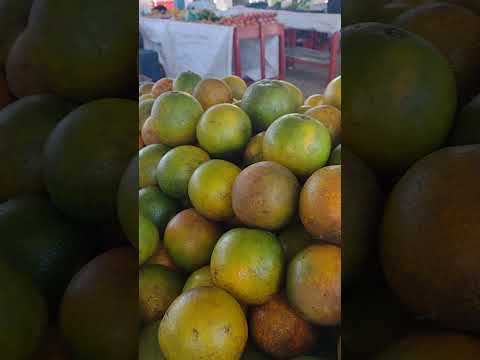 FEIRA DE SANTA INÊS BAHIA #shorts #feira #santainês #bahia #turismo #cultura #entretenimento #humor