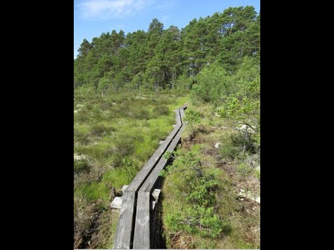 Store Mosse Nationalpark