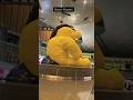 Doha Airport Qatar Doha Qatar Foryou Viral Fypシ Fyp Travel Qatarairways