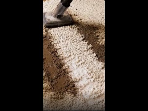 ASMR Water Vacuum: EXTREME Carpet Suction & Scrubbing