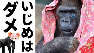 【コンパス】か弱い魔法少女をいじめないで下さい【リリカ立ち回り】(実況無し)