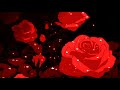 SWV Use Your Heart Interlude 12 Minute Loop 𝓼𝓵𝓸𝔀𝓮𝓭 𝓻𝓮𝓿𝓮𝓻𝓫