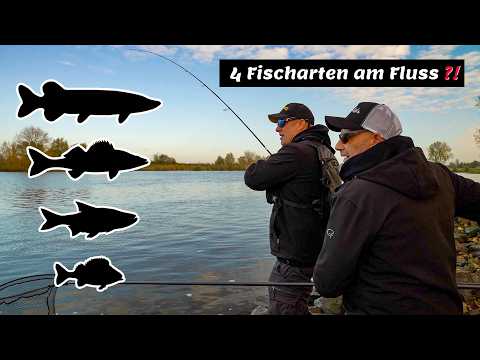 4 Angler 4 Fischarten | Uferangeln am Fluss