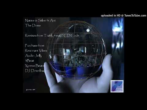 Native & Silver Ft Ani - The Dome (4Mal's Sub Flowing Intro Mix)