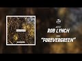 Rob Lynch - forevergreen (Visualizer)