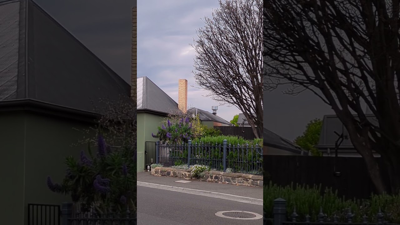 YouTube Short thumbnail