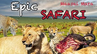 MAASAI MARA, KENYA, EPIC DREAM SAFARI ADVENTURE