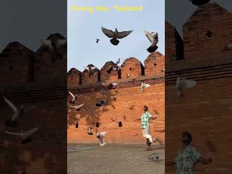 Linda manhã em Chiang Mai, Tailândia.