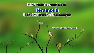 Download lagu Mp3 Suara Pikat Burung Kecil Paling Ampuh Durasi Lama || Burung Kecil Ribut mp3 Download lagu Mp3 Suara Pikat Burung Kecil Paling Ampuh Durasi Lama || Burung Kecil Ribut mp3