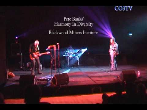 Pete Banks' Harmony In Diversity