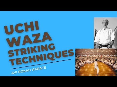 Uchi waza _ striking techniques