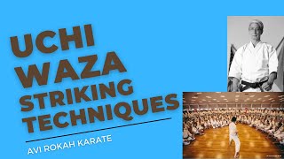 Uchi waza _ striking techniques