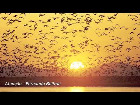 Atenção - Fernando Beltran - DC Soluar