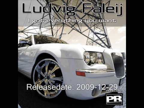 Ludvig Faleij - I Got Everything You Want (Chuck Cogan Remix)