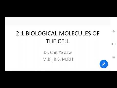 Grade 11 Biology, Chapter 2, 2.1 Biological Molecules of the Cell