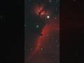 The Horsehead Nebula #astrophotography #astro #astronomy