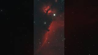 The Horsehead Nebula #astrophotography #astro #astronomy
