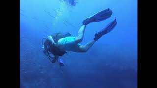 Reserva de LLevant. Faralló de Cala Gat | FARALLÓ DE CALA GAT . CALA RATJADA. RESERVA DE LLEVANT - Baleares Cala Gat España foto 9