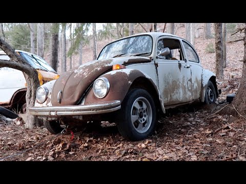Vw Beetle Rescue |  Forgotten Vw Bug Sitting 40 years in woods.