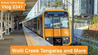 Sydney Trains Vlog 2341: Wolli Creek Tangara’s & More