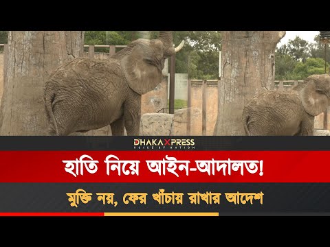 ২৫ বছর সার্কাসের পরও এলিকে মুক্তি দেয়নি আদালত