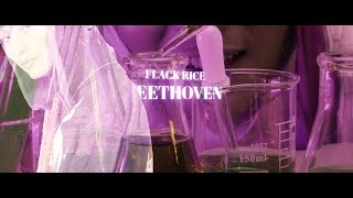 [音樂] FLACK RICE - 貝多芬 Beethoven 