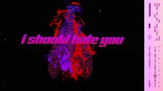 I SHOULD HATE YOU Music Video