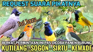 Download lagu Mp pikat burung kecil! Suara Pikat Kutilang Sogon Sirtu Kemade Ampuh Buat Mikat mp3 Download lagu Mp pikat burung kecil! Suara Pikat Kutilang Sogon Sirtu Kemade Ampuh Buat Mikat mp3