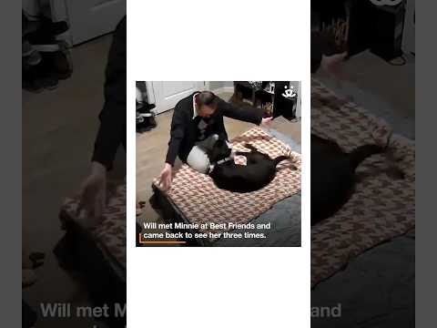 Youtube Video Embed