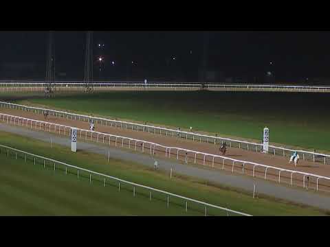 Lopp 3 24 November 2019