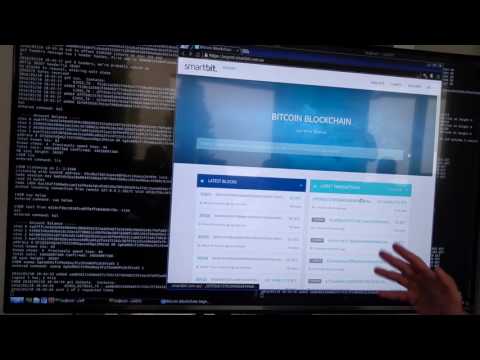 Thaddeus Dryja showing the Lightning Network on Segnet