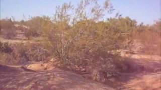 Bike Jumps At Greyhawk 2 Preview