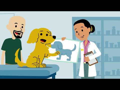 For Kids 5-8 Years Old: What is Pain?