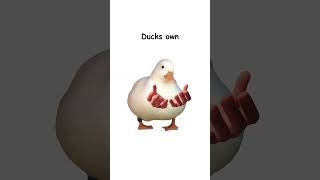 Communism (explained by ducks)