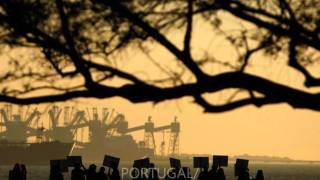 Rogue Wave - Sight Lines