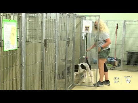 WRTV News at 6 | August 21, 2020