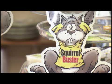 Garden Gate: Episode 162 - Grackles and Starlings (April 12th 2019)