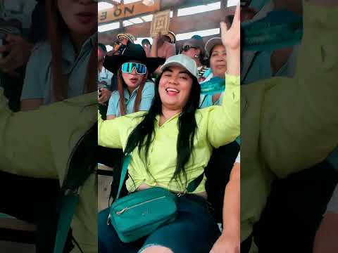 Corralejas 2025 Quinta Tarde en Ayapel - Entre faenas, suena la papayera y el porro invade todo