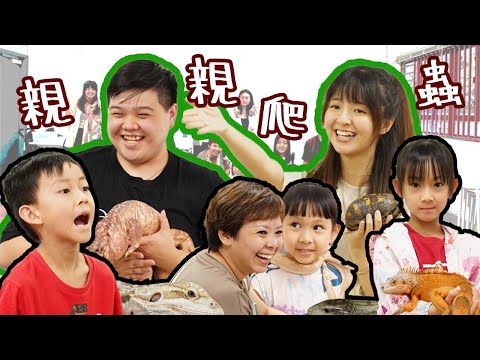 #大埔親子好去處 親子爬蟲體驗｜兒童發展協會｜大埔小朋友興趣班