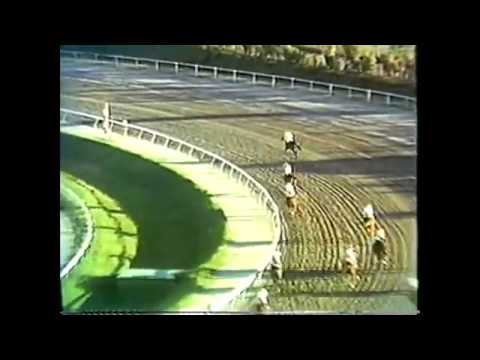 Clásico del Caribe 1989 - Pan De Los Pobres (PAN)